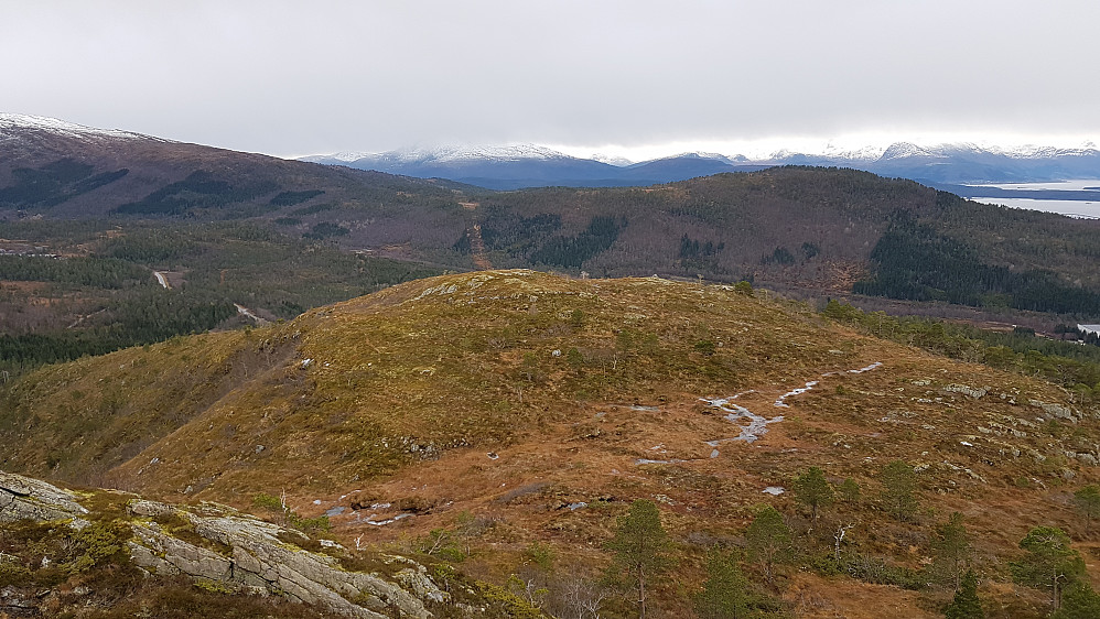 Årøheia (Hausen på andre siden av Årødalen)