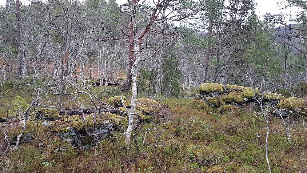 Eikremsetra