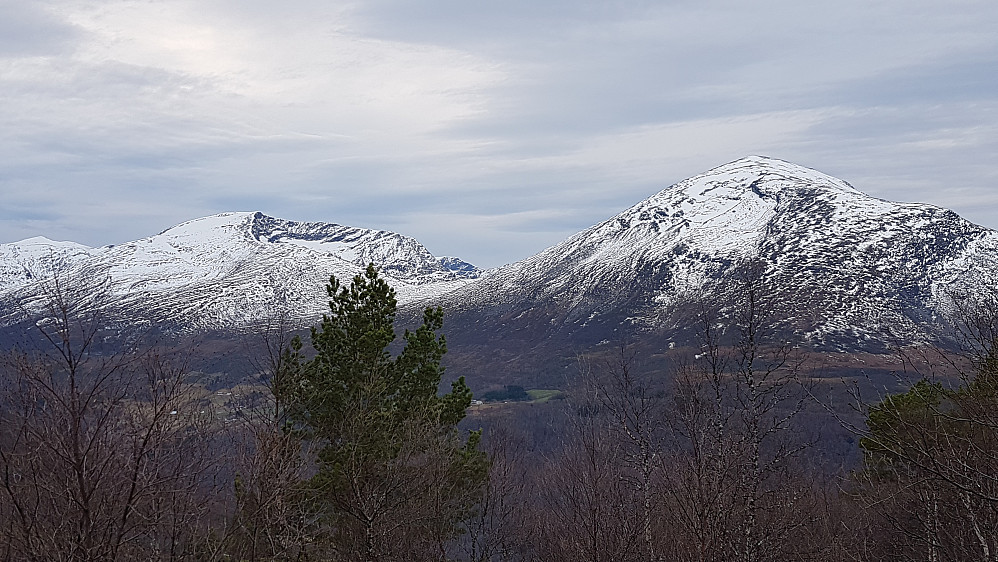 Smågehornet og Grøtet