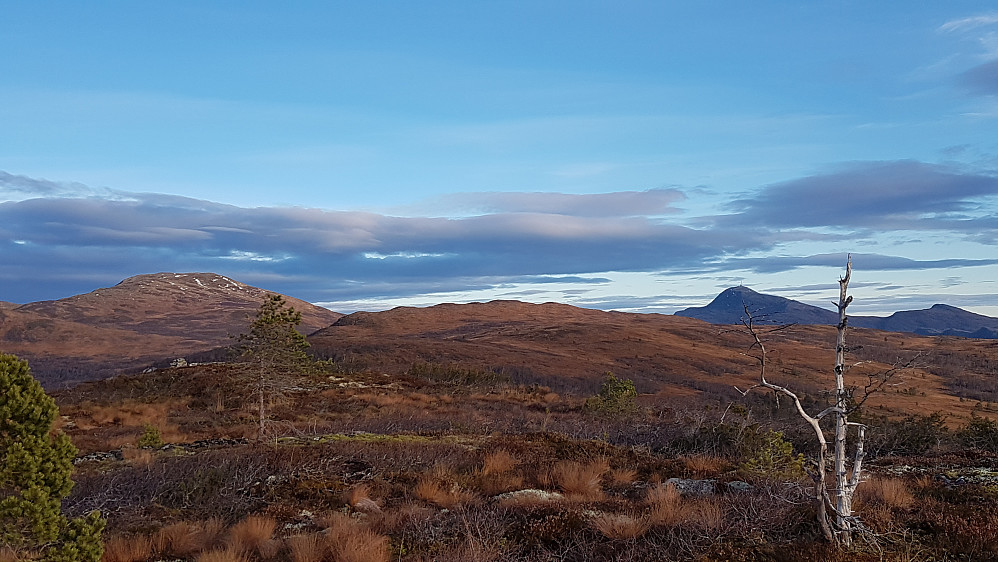På Grashaugen - mot Dua og Reinsfjellet