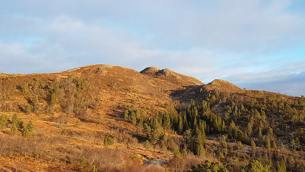 Tusenårsvarden sett fra Skihytta 