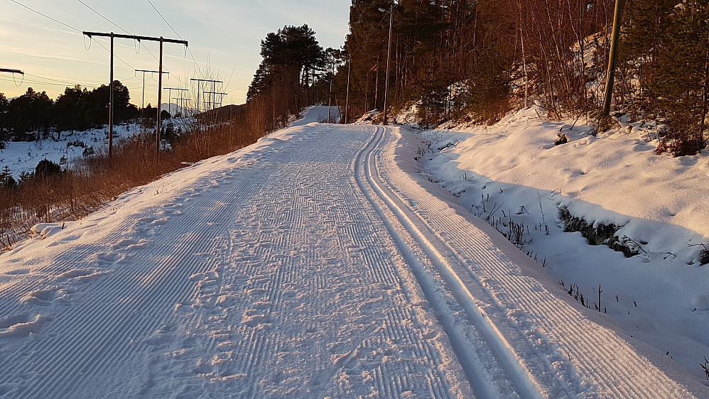 Godt med fotspor i skiløypene i Moldemarka. Ødelegger mye for de som skal skøyte..
