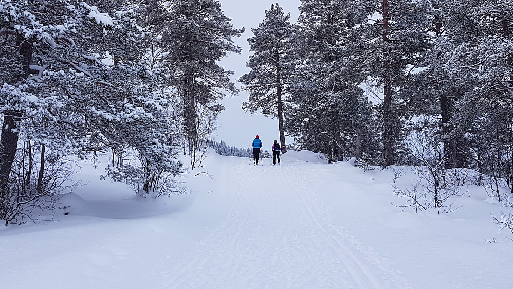 Nesten tilbake på Skaret skisenter