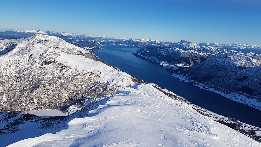 Kommet opp på toppryggen - mot Batnfjorden