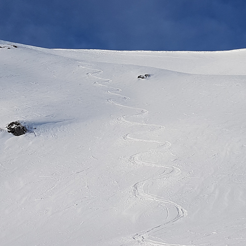 Mange fine brattheng ned fra Harstadfjellet