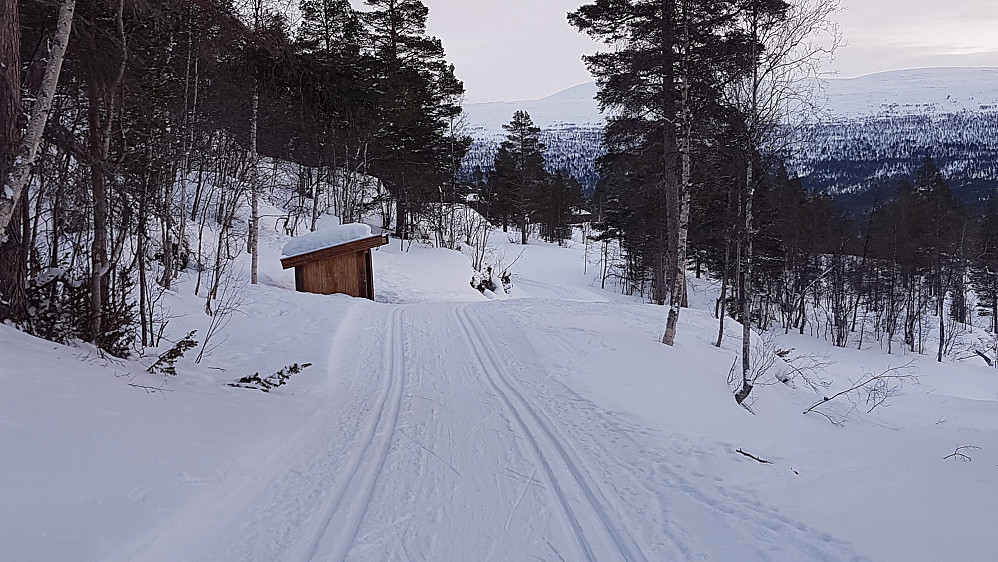 Glimrende forhold i skiløypene på Bjorli 