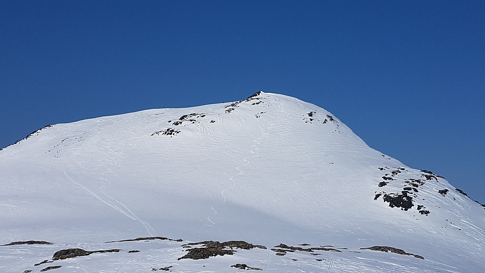 Tilbake på Vardbakkane