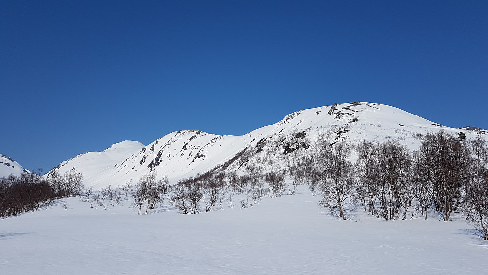 Neste turmål i området? (Mehornet) Så fint ut
