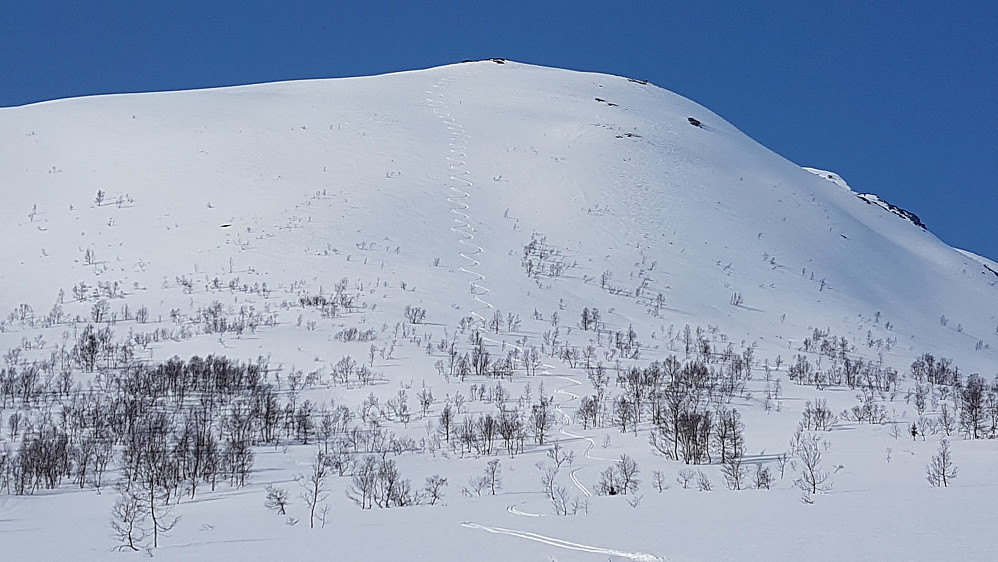 Lia ned fra Vardbakkane 