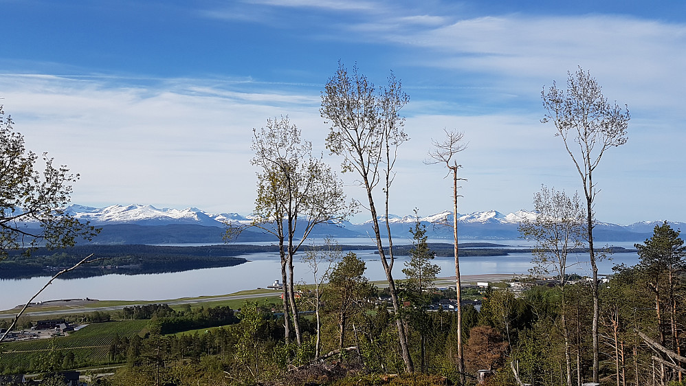 Utsikt fra Årøhaugen