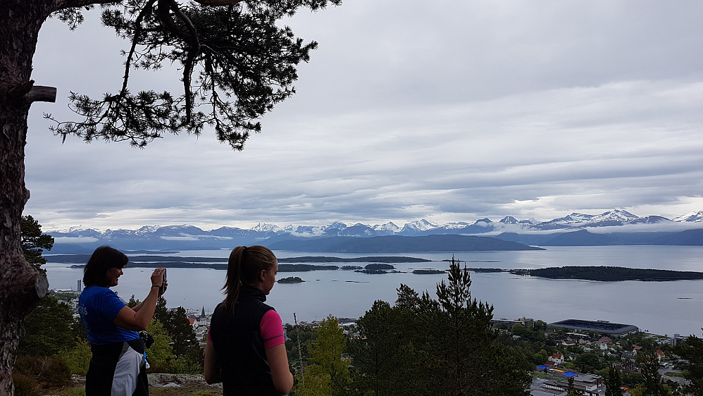 Fint på Brattlihaugen  
