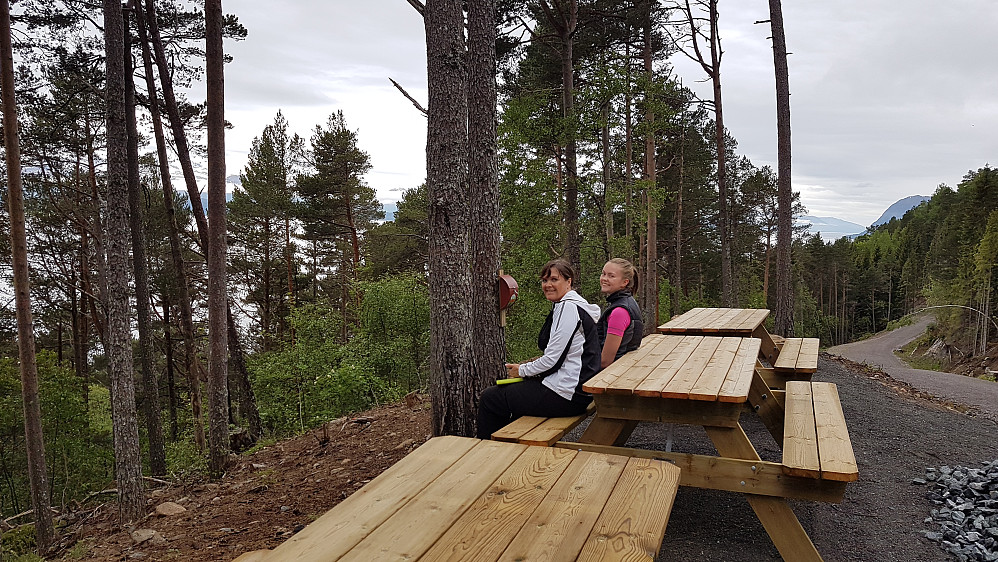 På Stikk-ut i Liavegen 