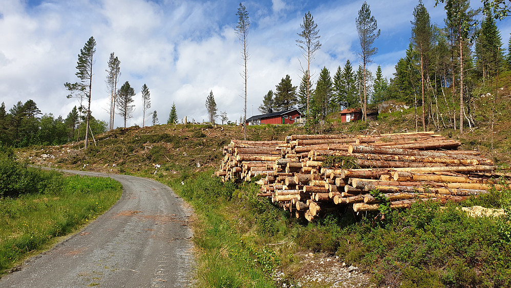 Tømmerdrift inn mot Kordalen