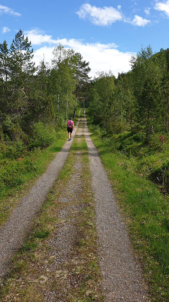 I Kordalen