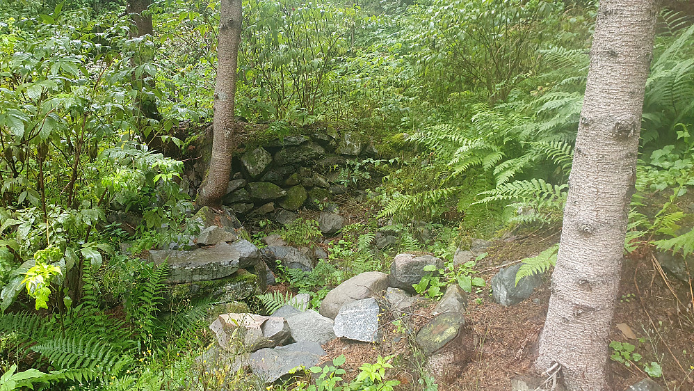 Høyenhall