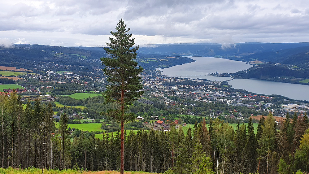 Utsikt fra gapahuken