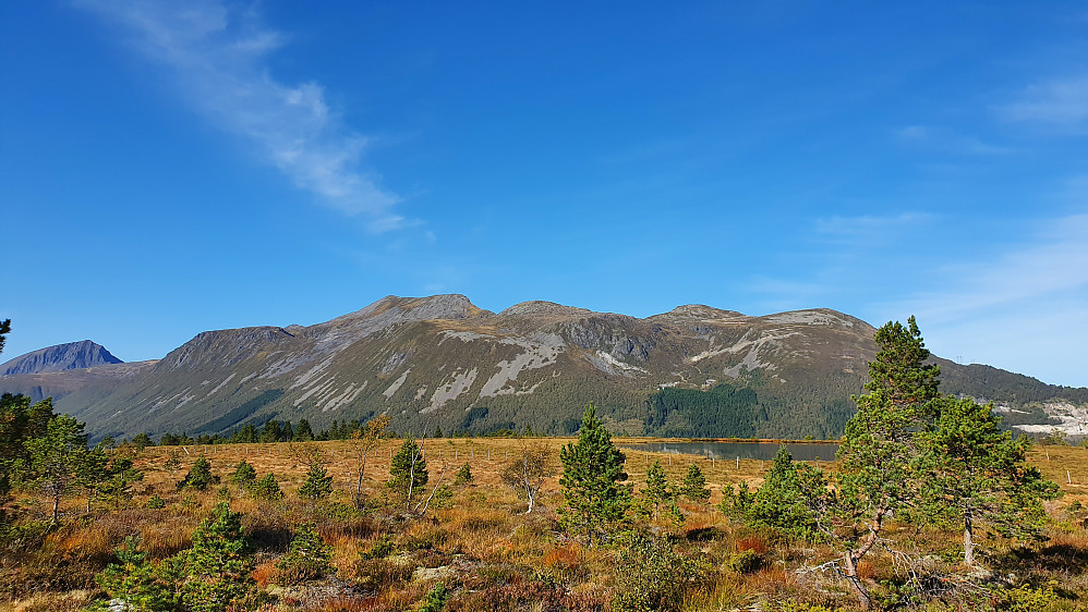 Vi tok med en fin rundtur fra Halåssetra. Her ved Ola Hals-plassen ved Lomtjønnet. Bak ruver Sandnestindene