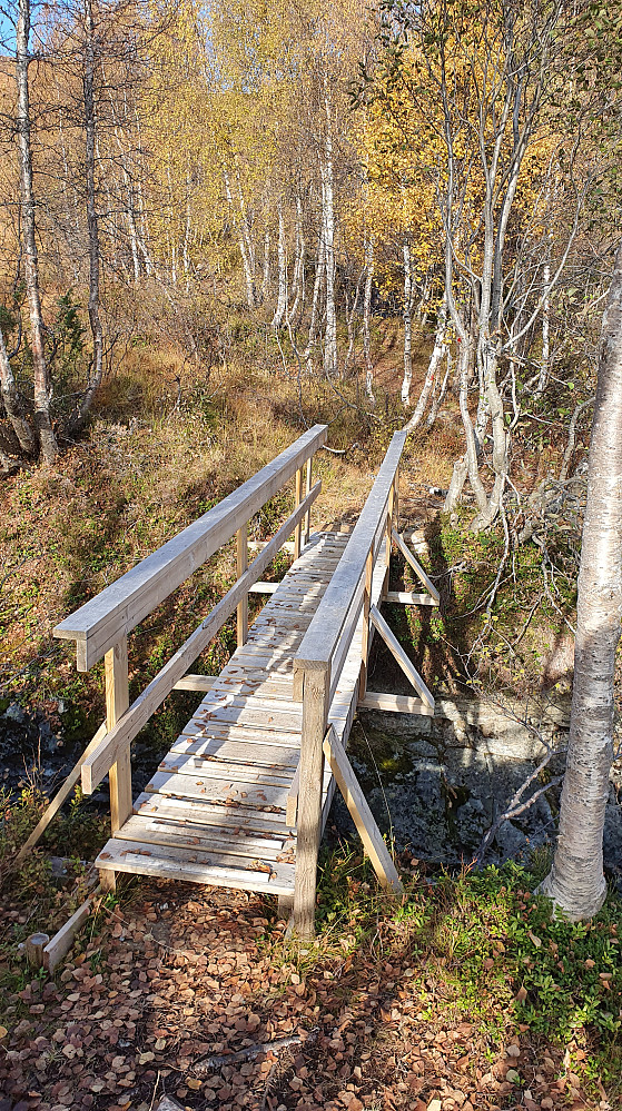 Ved denne broen møtes stiene fra Langlo og Ringstad