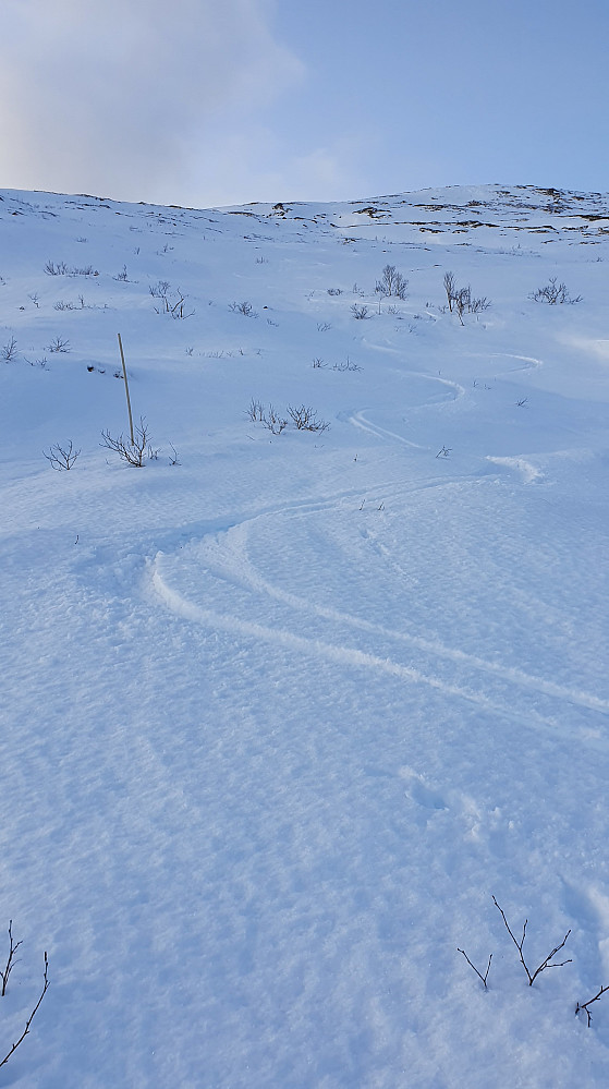Ned østfjella 