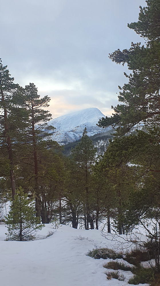 På Ulvshaugen - mot Tusten
