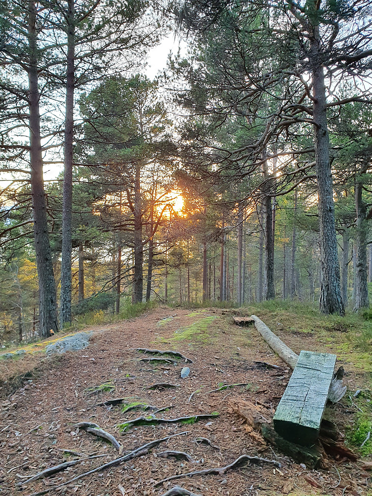På Sjølskotthaugen
