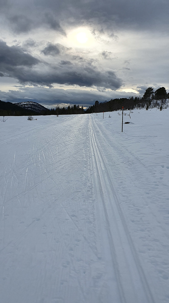På Berrmyrene 
