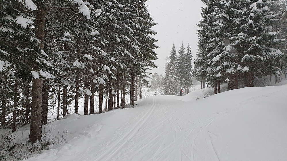I Kordalen