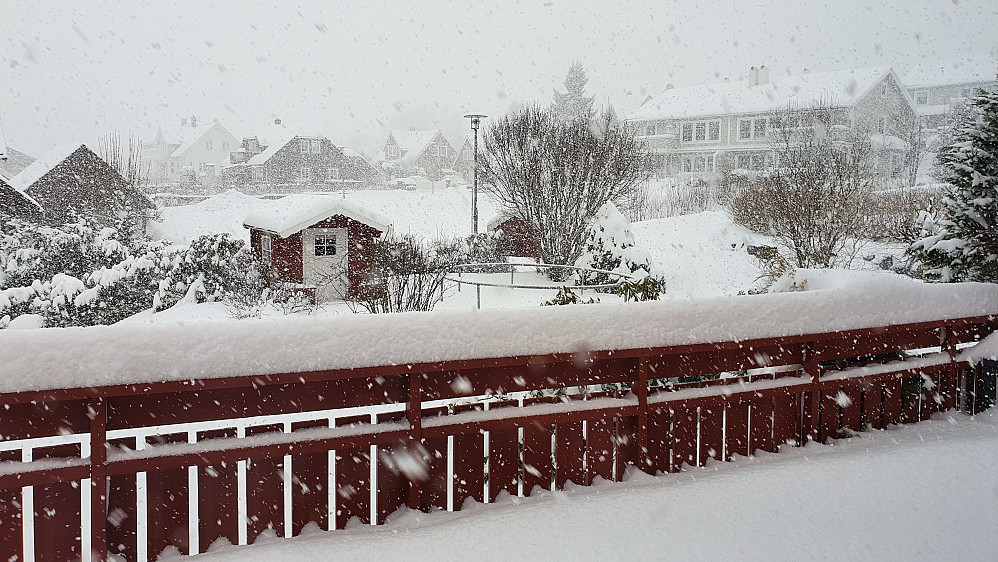 Vanvittig snøvær midt på dagen..