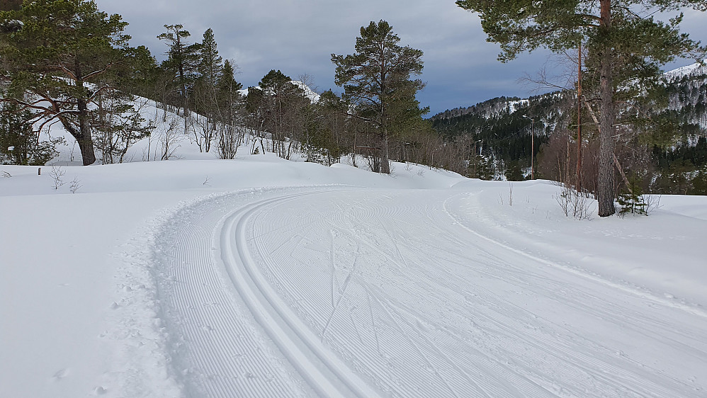 Ved Årønessetra. Fint føre med felleski i dag