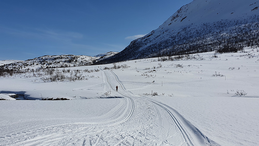Flotte skiløyper i Langdalen