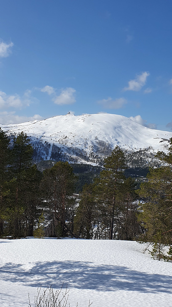 Østfjella på Tusten så innbydende ut