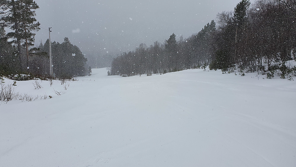 Ned Ole Henden-bakken. Snøvær, friskt og godt - herlige kjøreforhold med en del nysnø