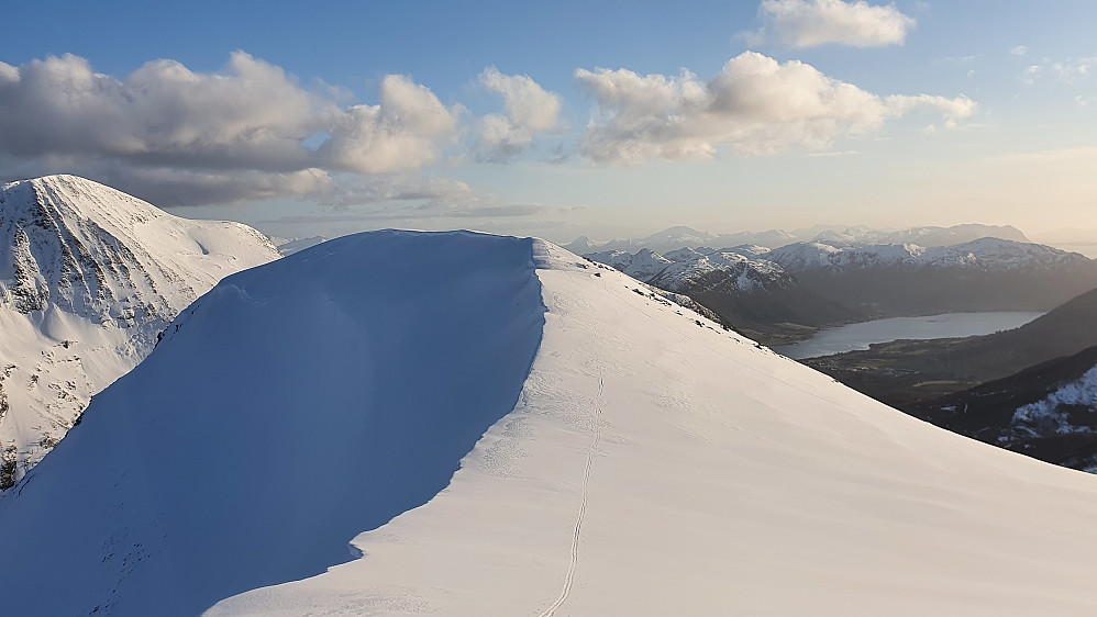 Søre Kvannfjellet (pass opp for skavler på alle fjell nå)