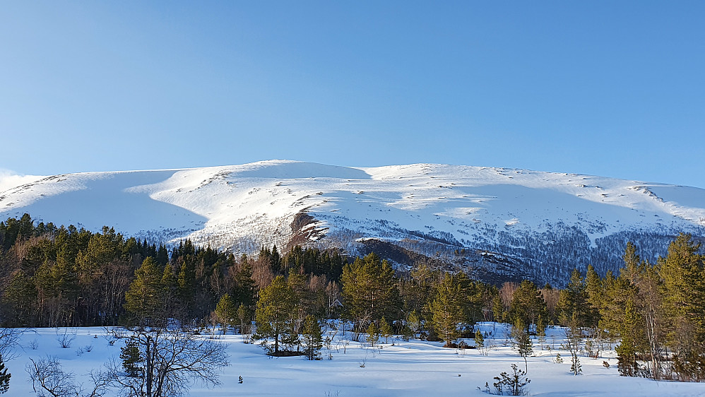 Urfjellet i kveldsol