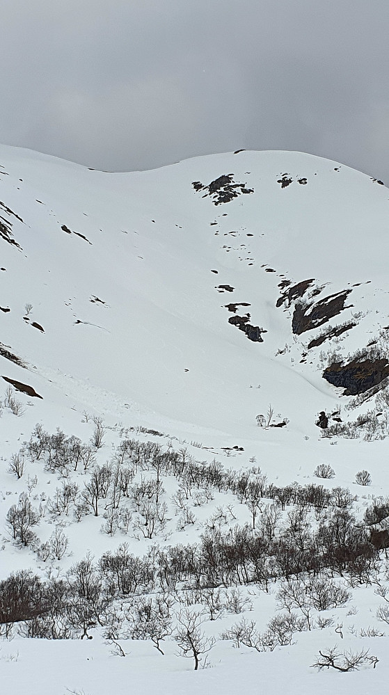 Den flotte flanken ned i Dyrdalen fra Urfjellet (må vurdere rasfaren på denne nedfarten) 