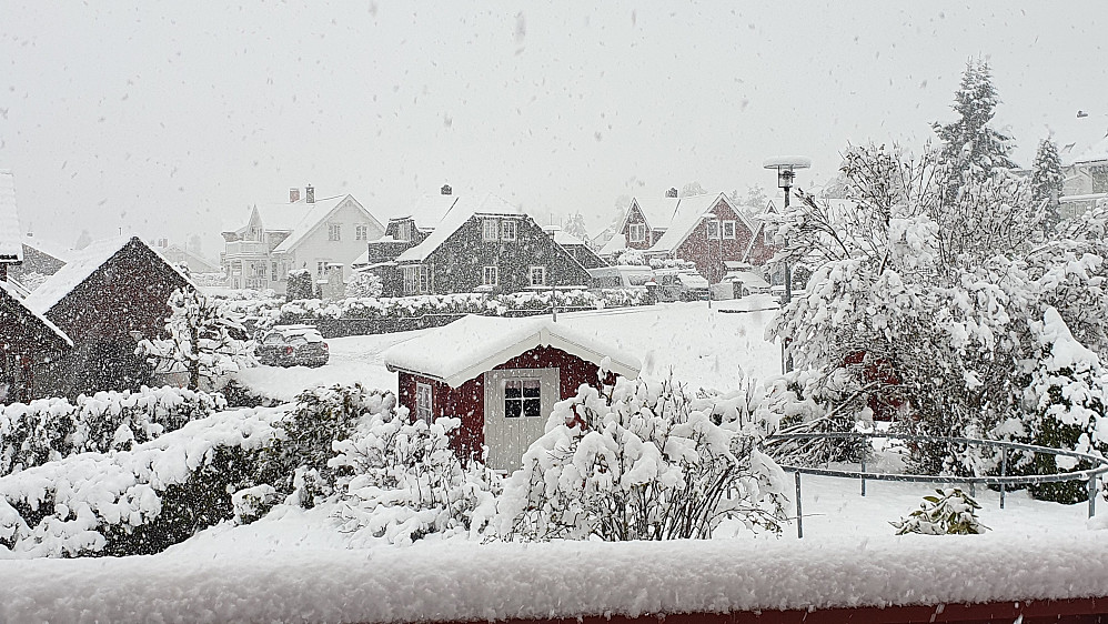 Molde, 12. mai 2020 (på formiddagen) 