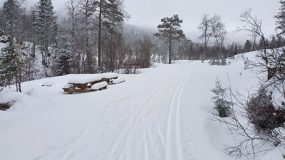 Ved Moldeelva