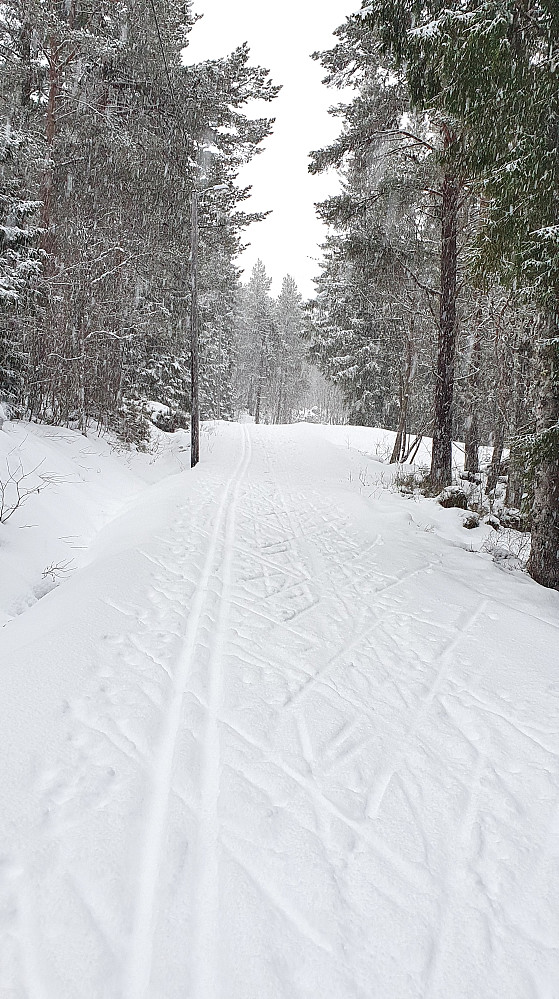 Fine forhold. God haglsnø, og greit med felleski 