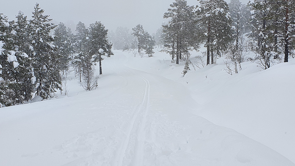 Trivelig å gå rundt i løypene i dag