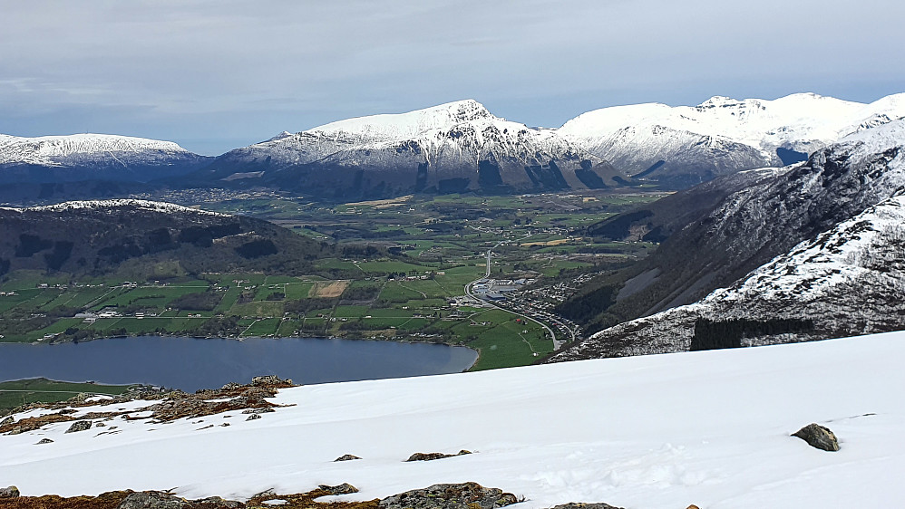 Grønt i Malmefjorden 