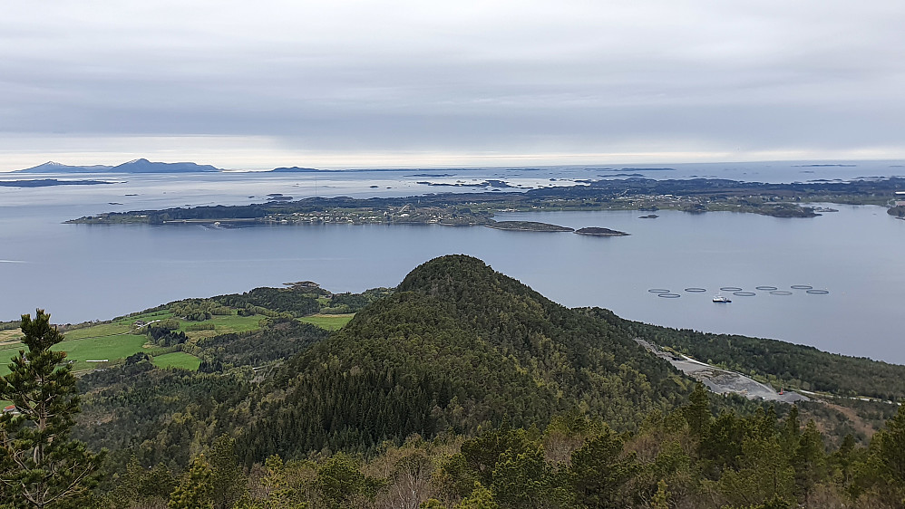 Nøsa