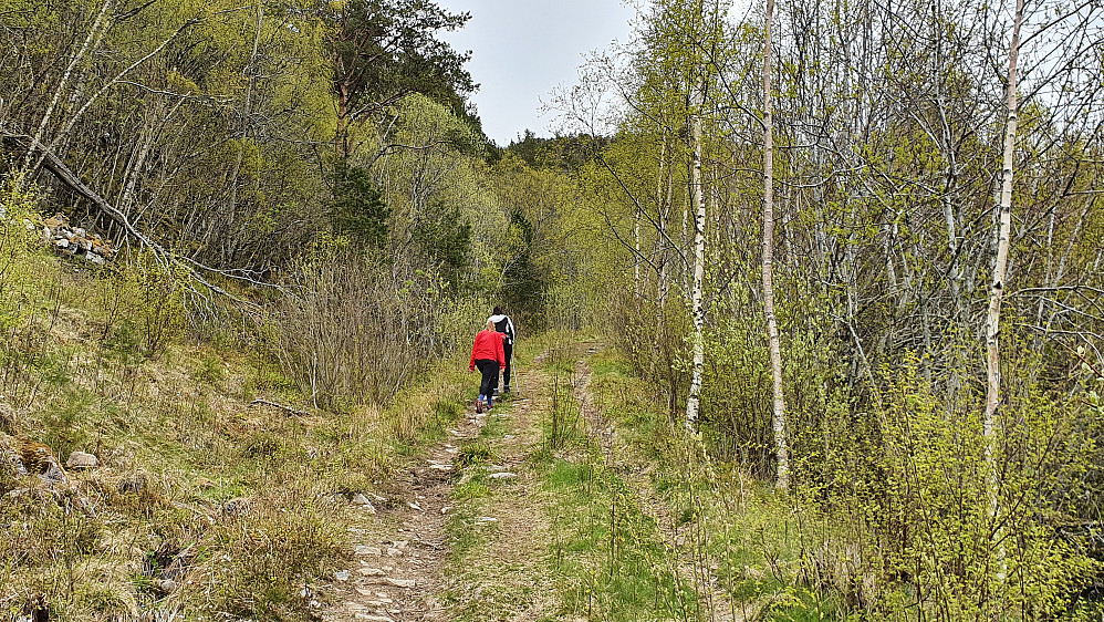 Vårstemning