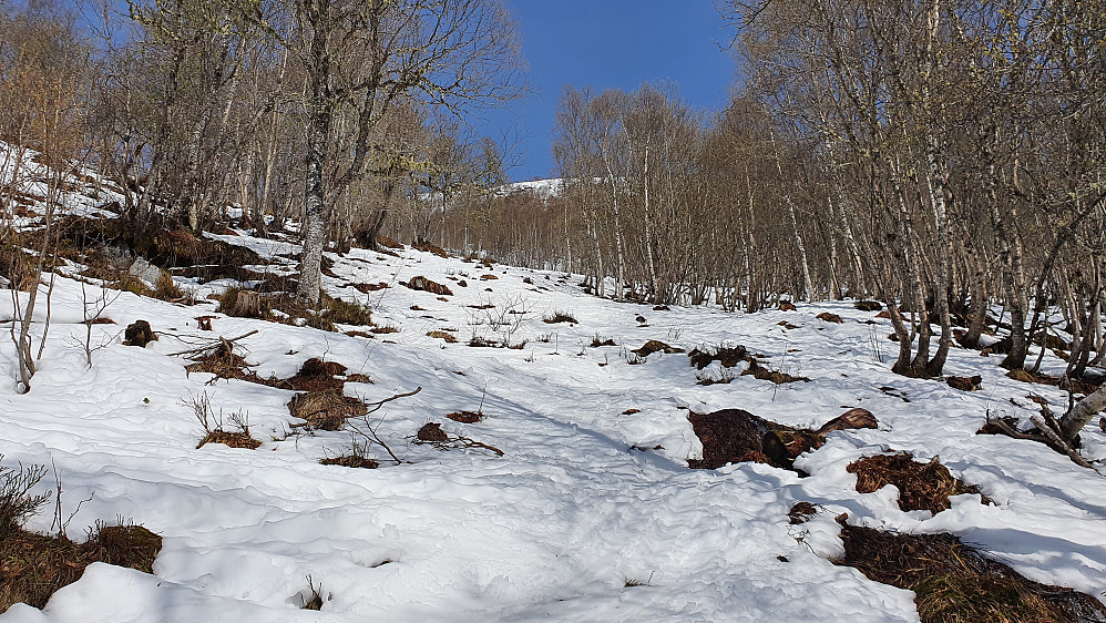 Gikk greit med ski i skogen i dag, men det renner unna i 20 plussgrader..