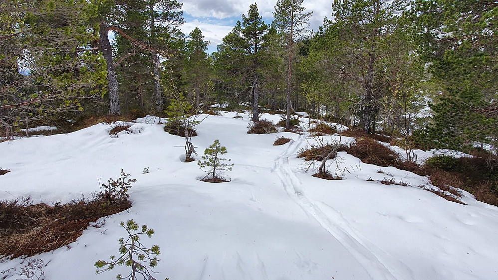 Skiføre på Søre Botnhaugen 