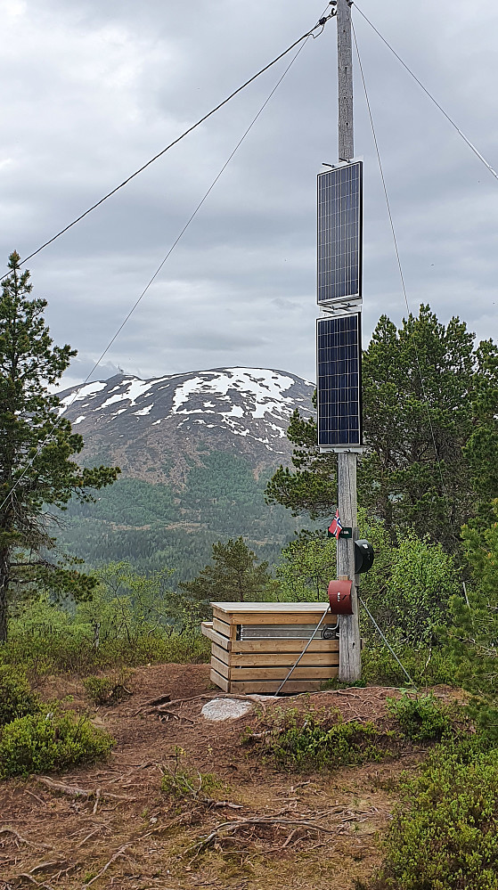 Minker på snøen i Østfjella på Tusten nå 