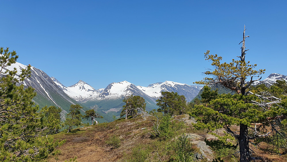 Fint oppe på Ytterlinakken
