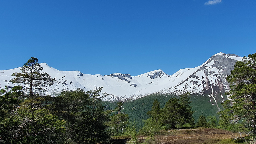 Mot fjellene bak Valldal