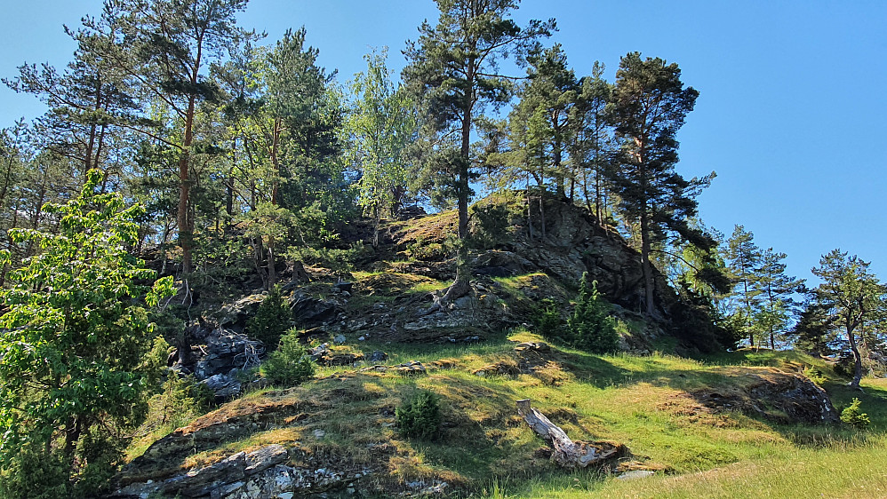 Fjøråhaugen