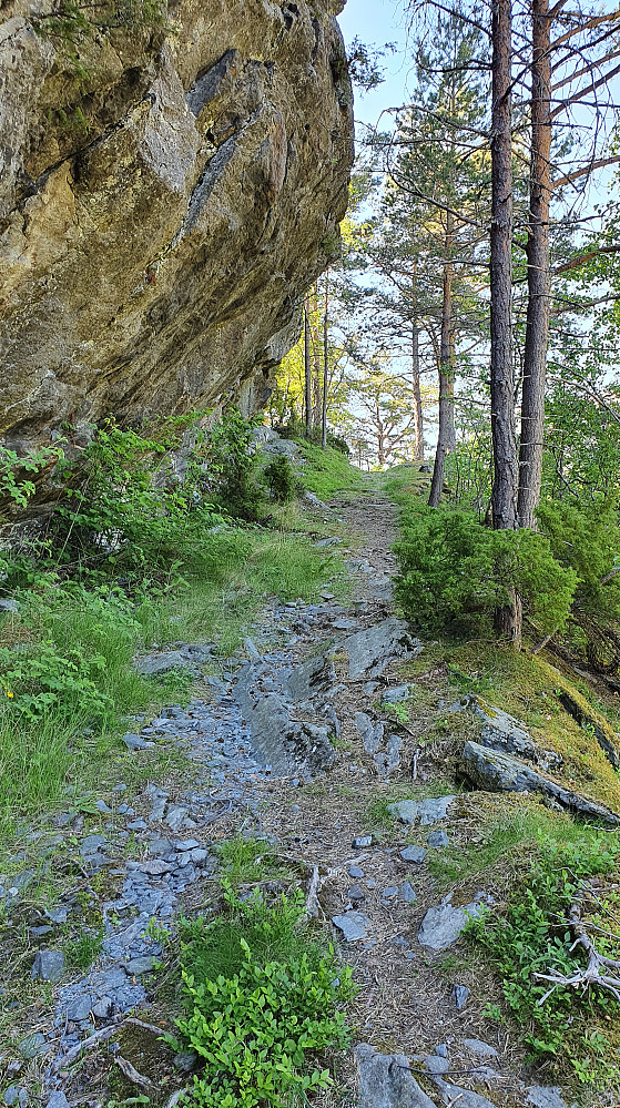 Først en tur opp på toppen på Honeset