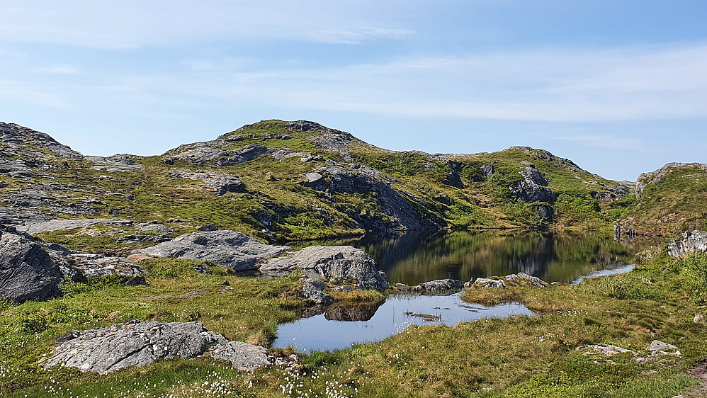 Lågfjellet sør